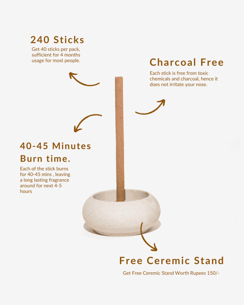11 - in - 1 Bambooless Incense Combo - Sadhna.co