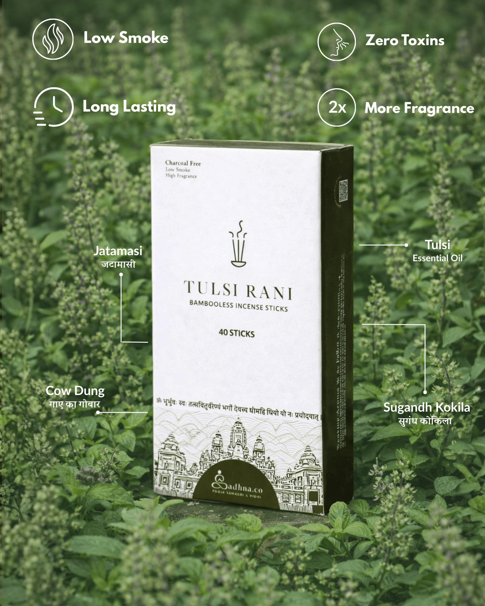 Tulsi Rani (तुलसी) - Sadhna.co™
