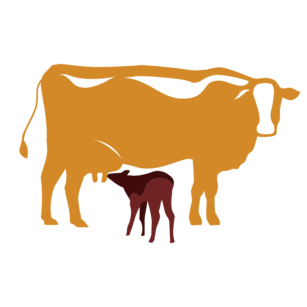 Gau Seva Donation - Sadhna.co