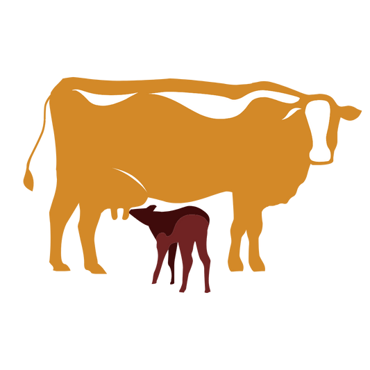 Gau Seva Donation - Sadhna.co