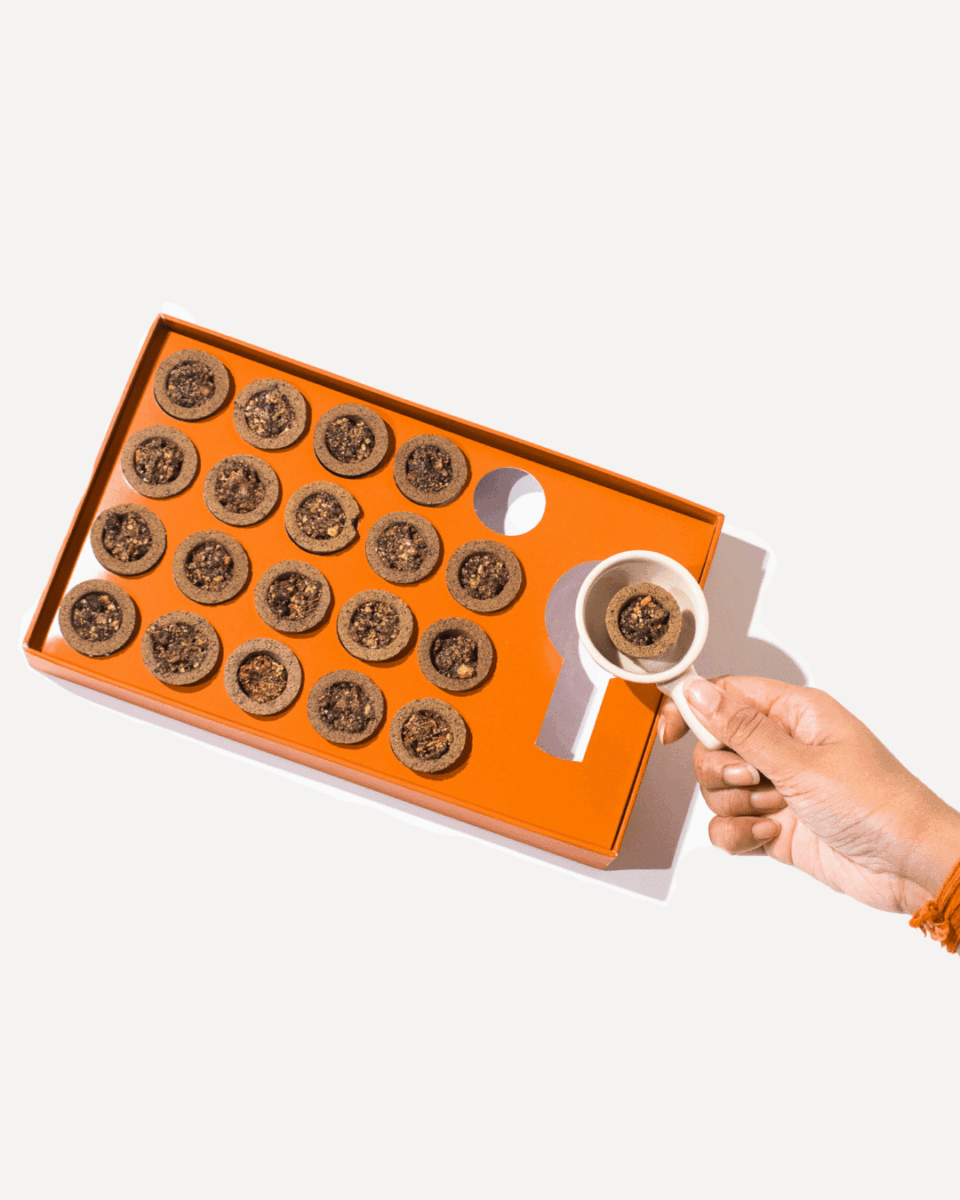 Loban Havan Cup - Sadhna.co