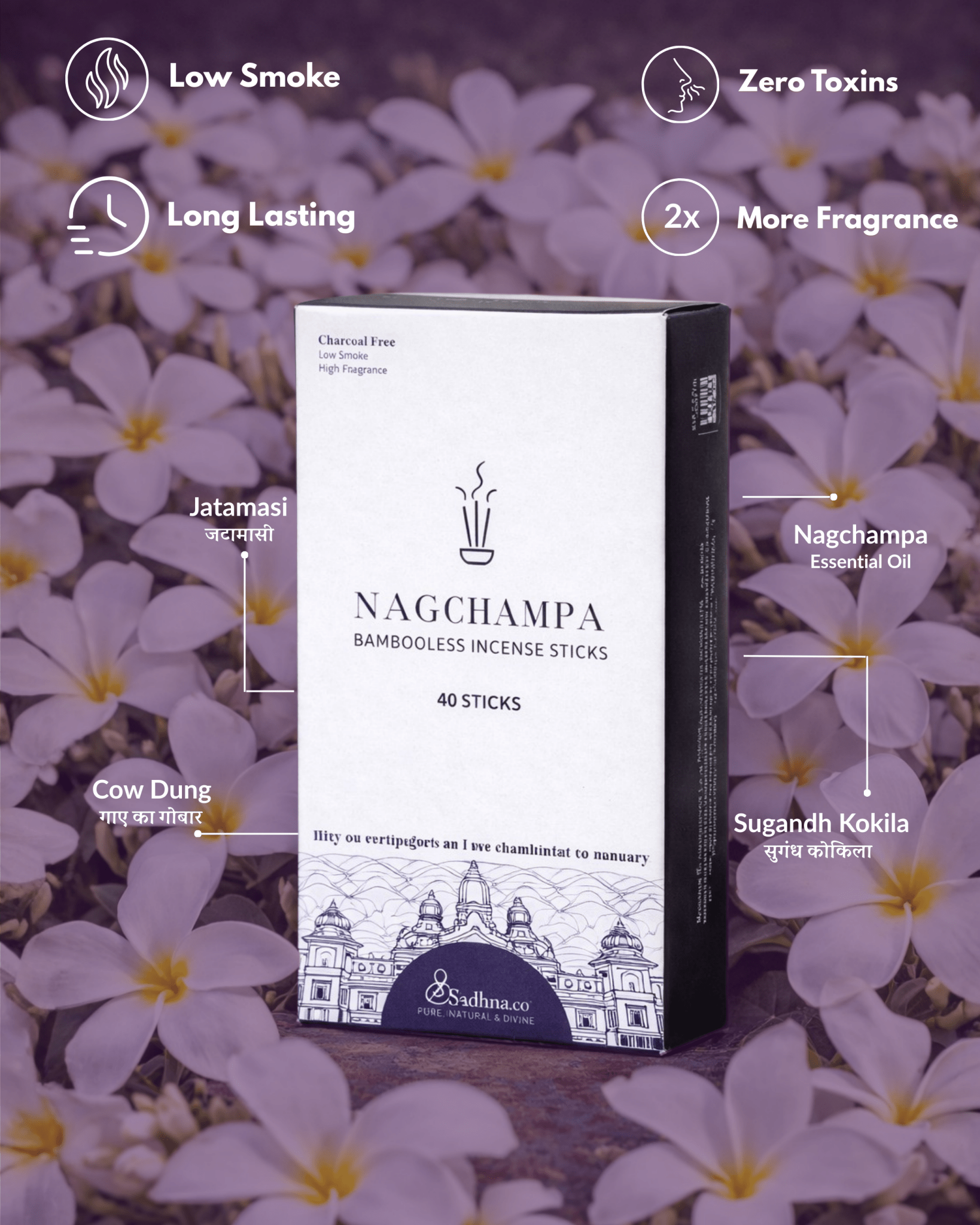 Nagchampa (नागचम्पा) - Sadhna.co™