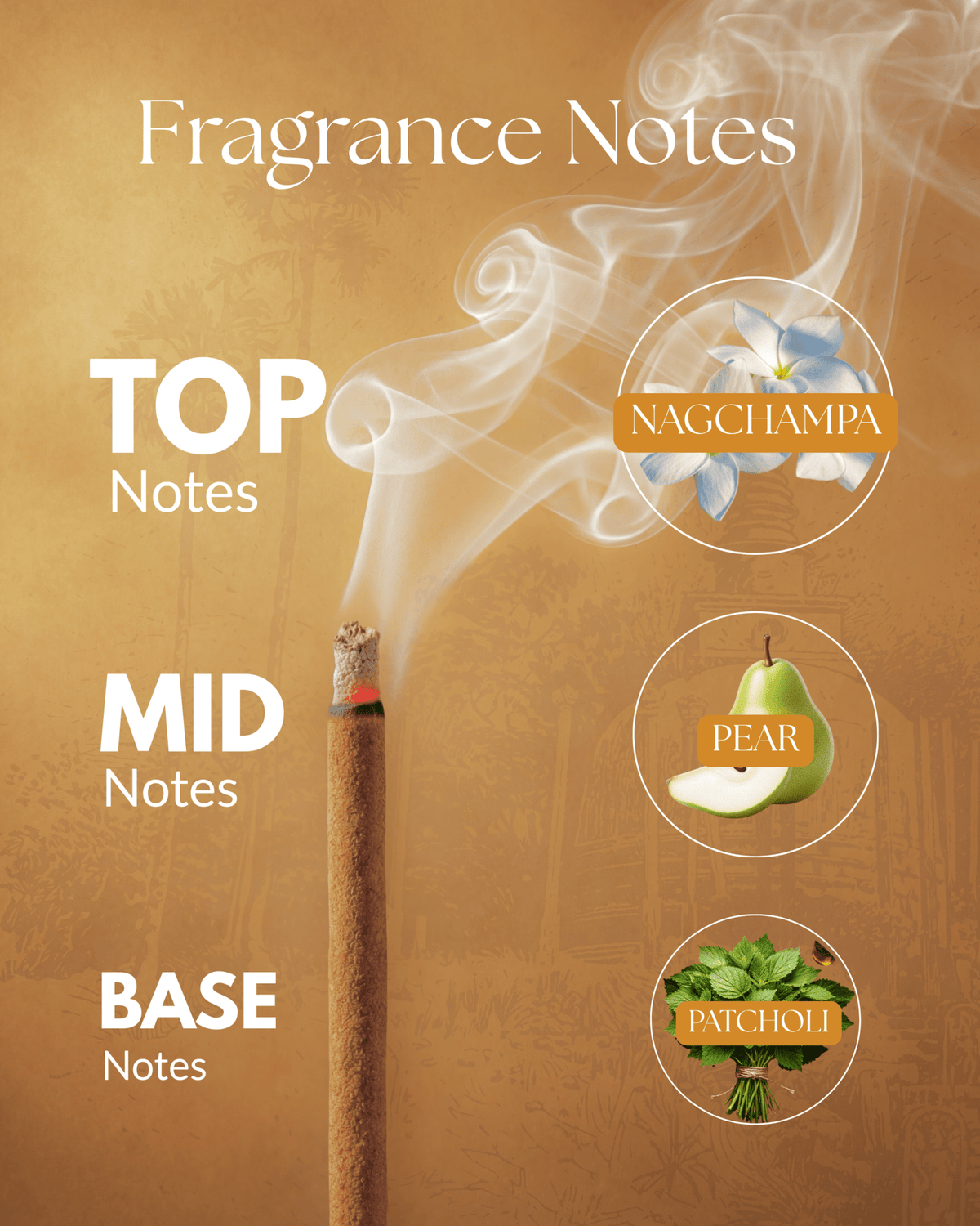 Nagchampa Refill Pack - Sadhna.co™