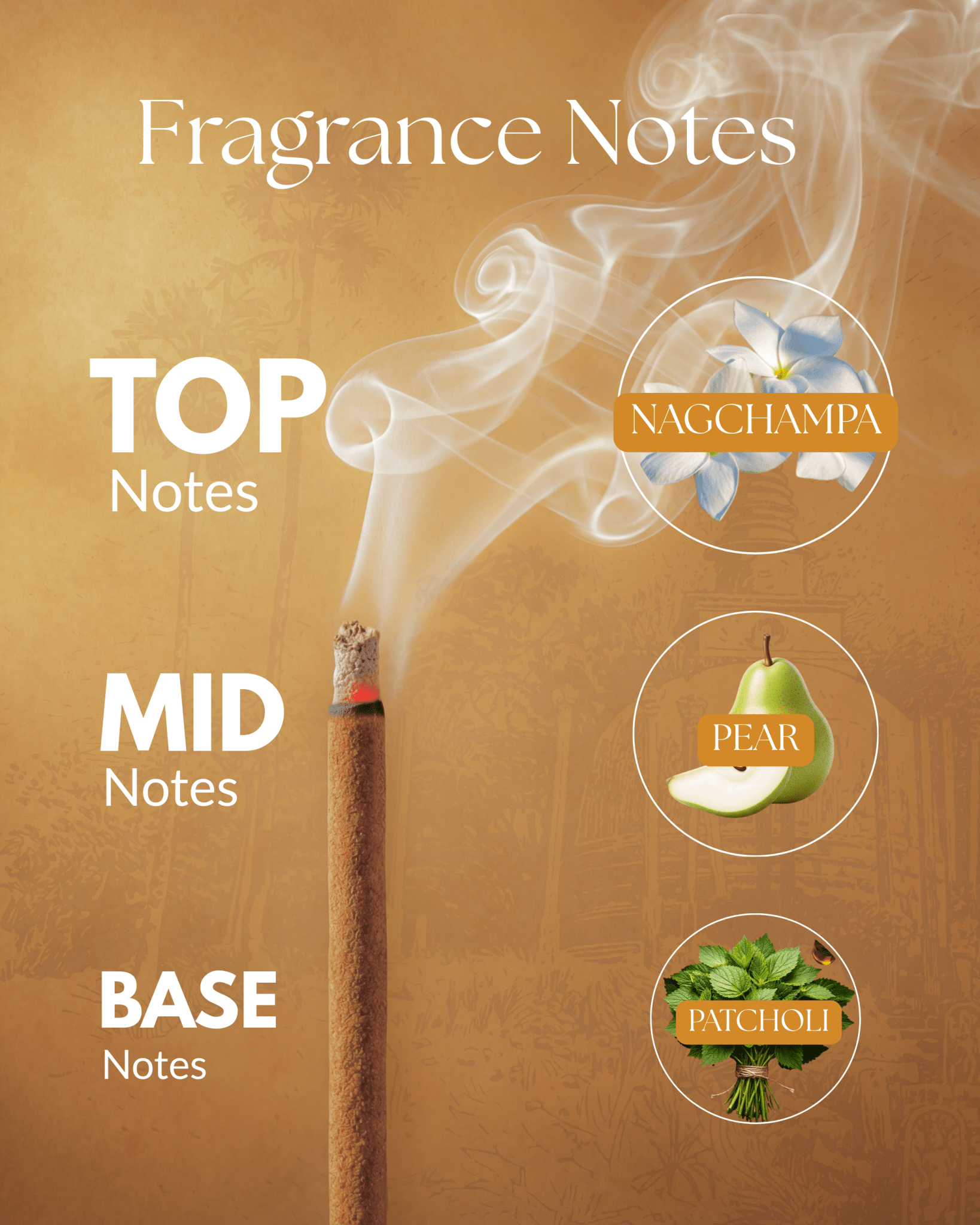 Nagchampa Refill Pack - Sadhna.co™