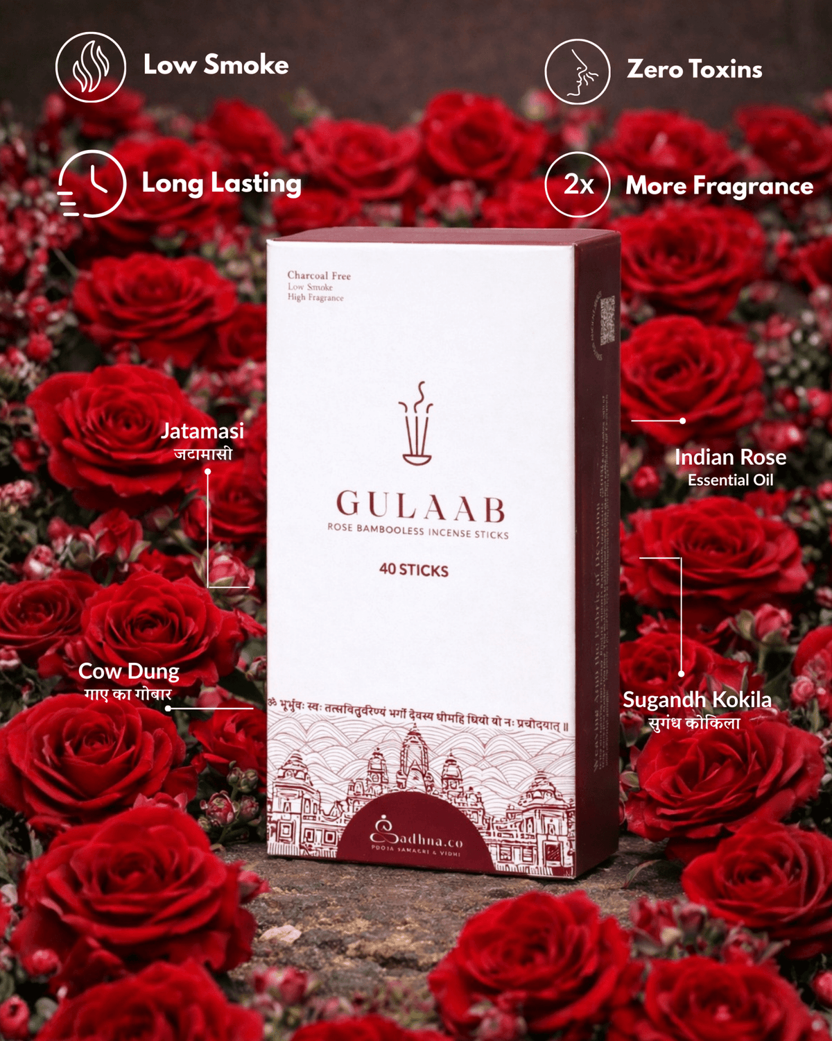 Rose (गुलाब) - Sadhna.co™