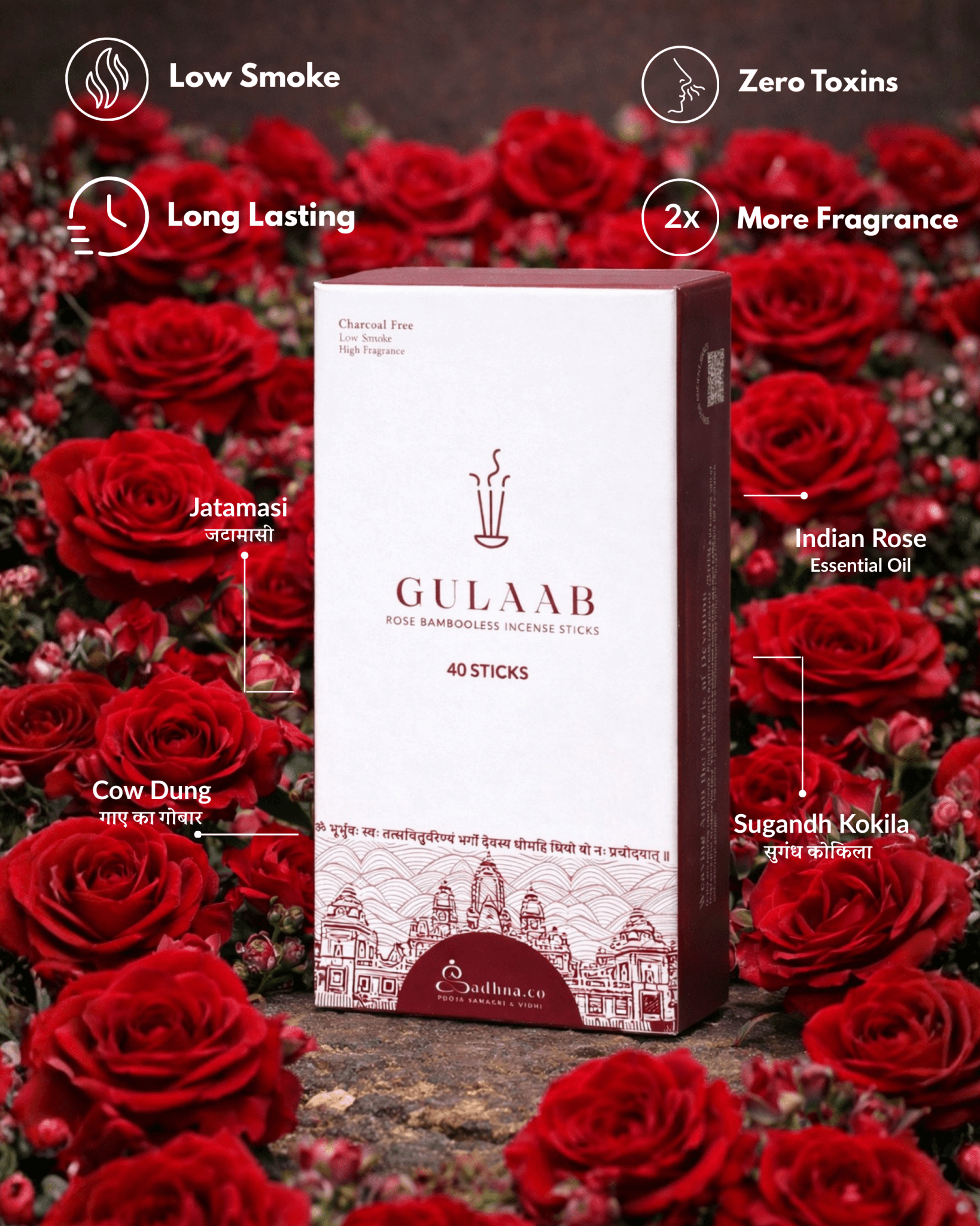 Rose (गुलाब) - Sadhna.co™