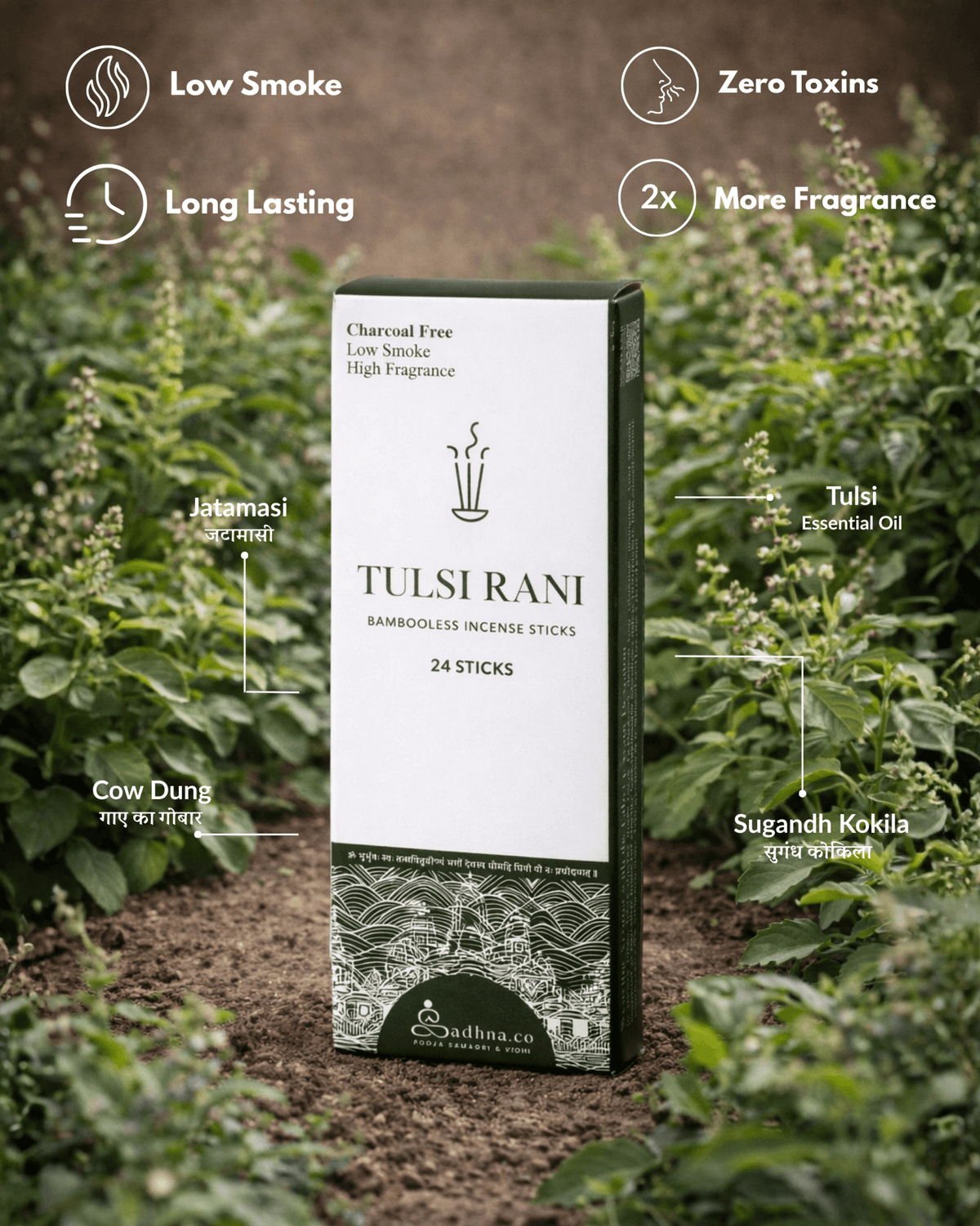 Tulsi Trial Pack - Sadhna.co™